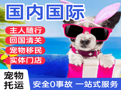 温州龙湾机场物流国际宠物托运 【国